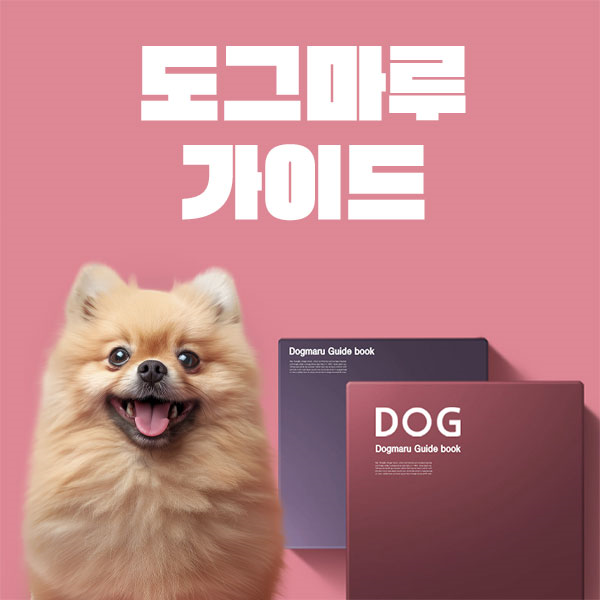 도그마루 가이드