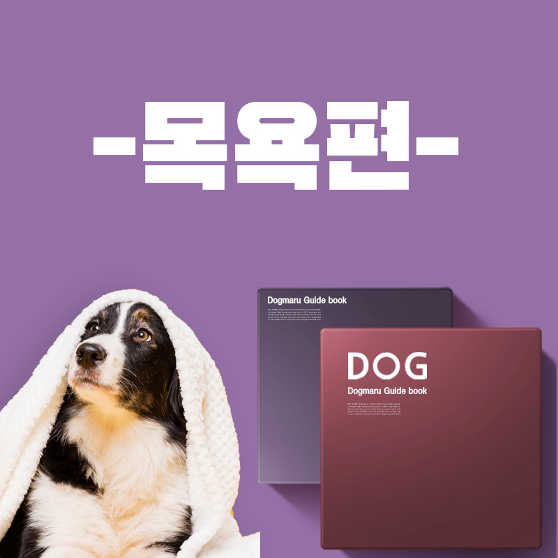 반려생활 가이드 - 목욕편