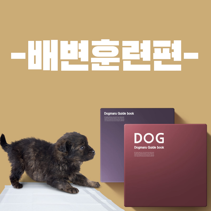 반려생활 가이드 - 배변교육편