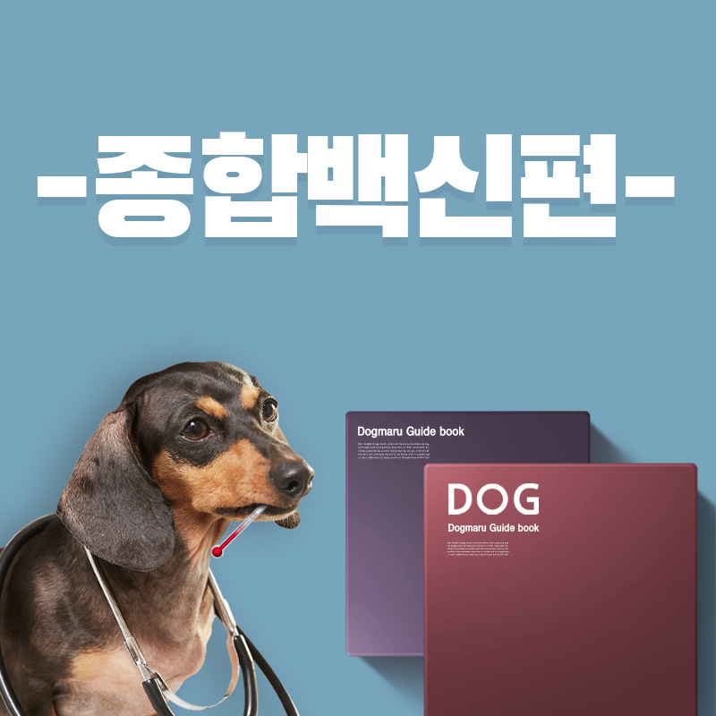 반려생활 가이드 - 종합백신 접종편