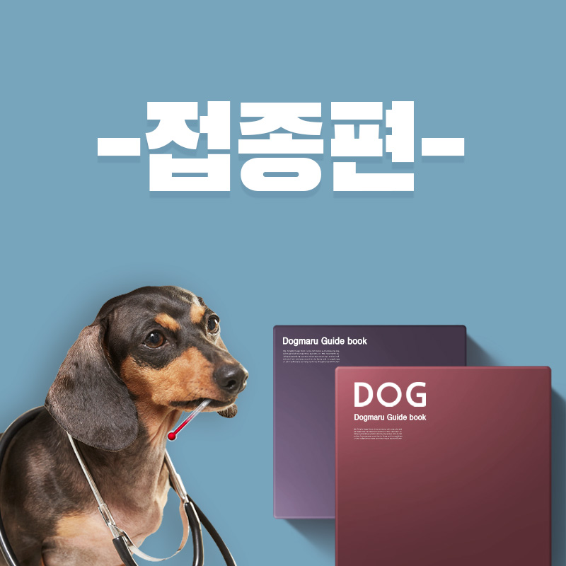 반려생활 가이드 - 접종편