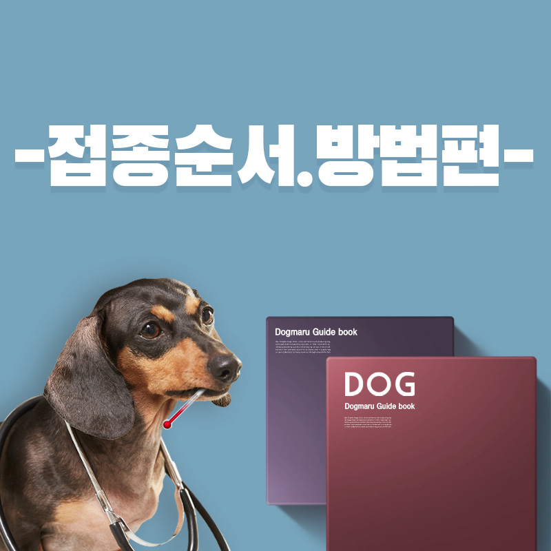 반려생활 가이드 - 접종순서,방법
