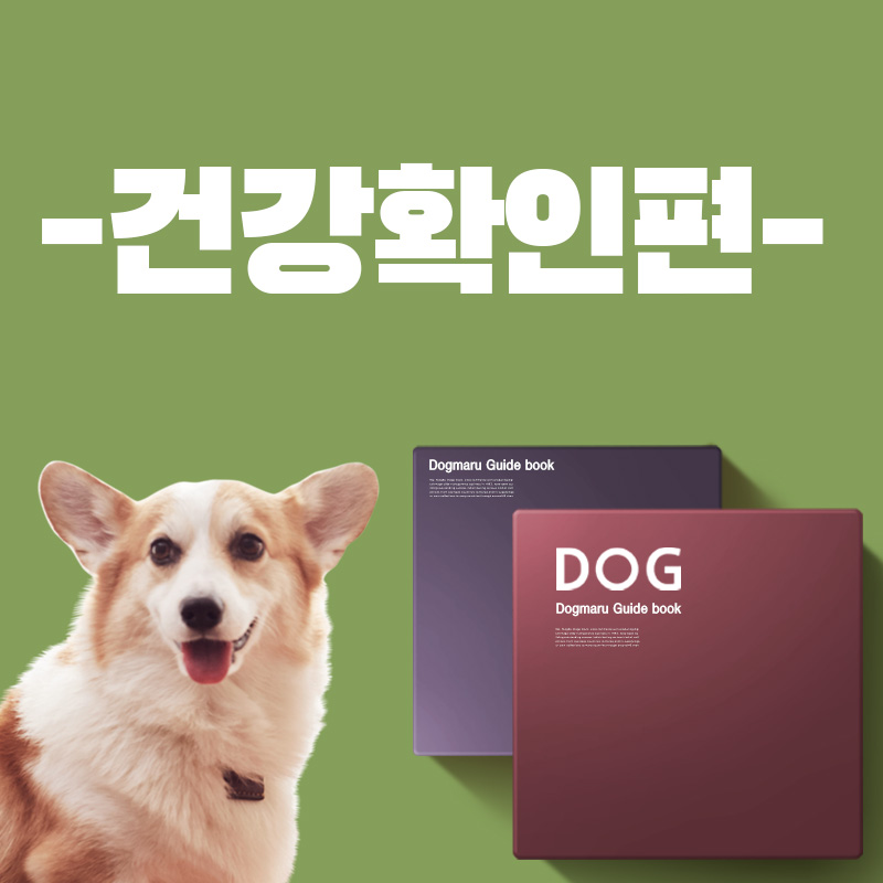 반려생활 가이드 - 건강 확인편