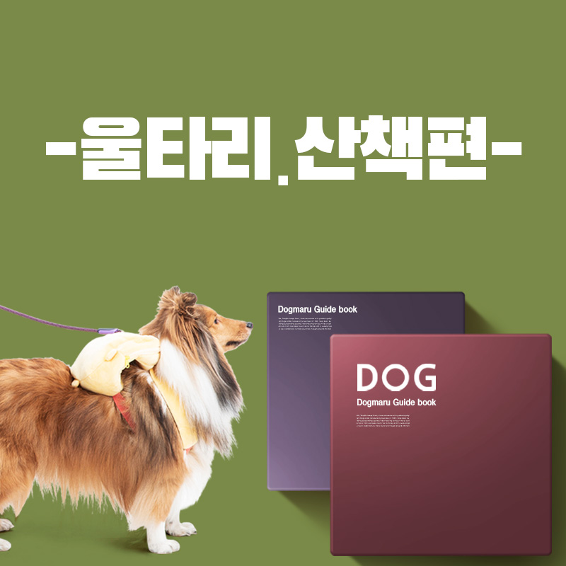 반려생활 가이드 - 울타리&산책편