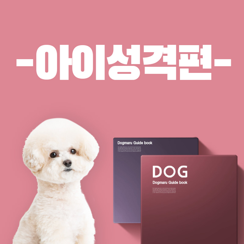 반려생활 가이드 - 아이성격편