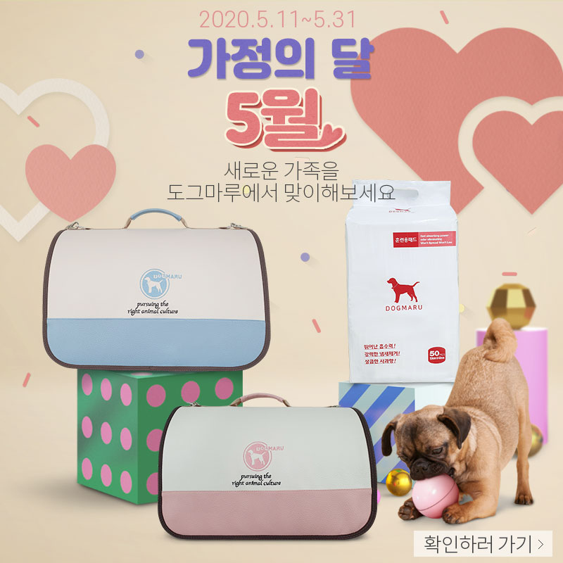 ★도그마루 가정의달 이벤트★