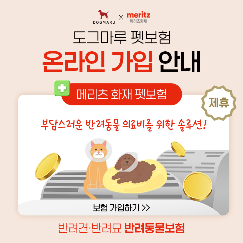 메리츠화재 펫보험