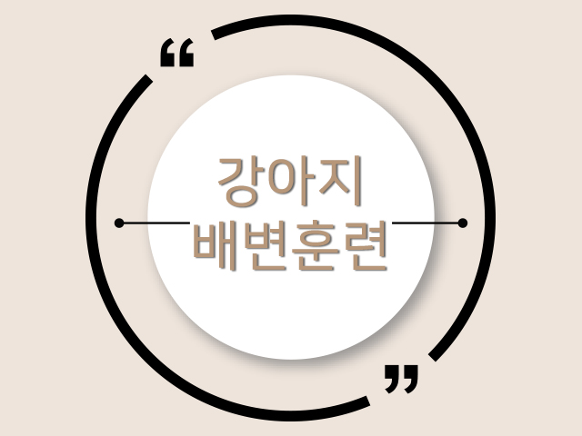 강아지배변훈련, 한방에 해결!