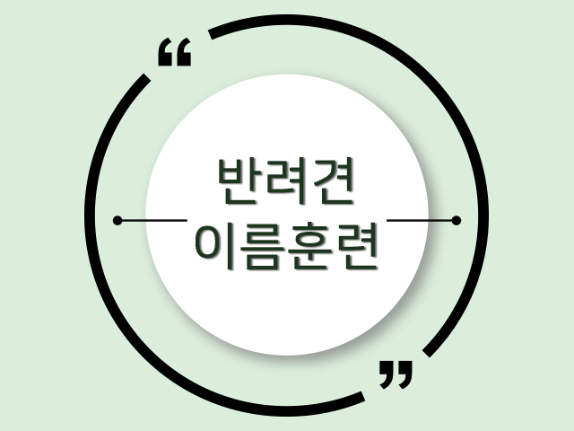 반려견 이름 부르기 훈련