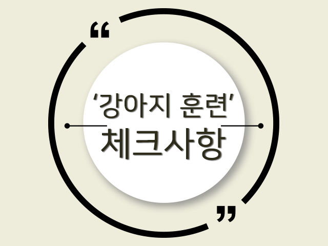 강아지훈련 전 알아야 할 것!