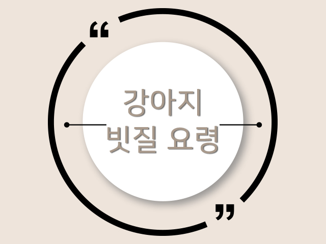 우리 집 강아지를 멋지게 해줄 빗질 훈련!