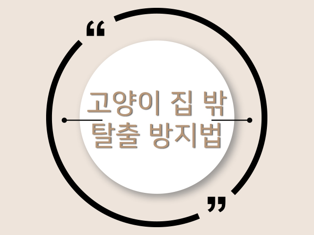 우리집 고양이가 집 밖으로 탈출하려고 한다면?!