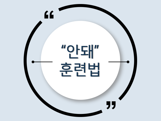 제발 내 말 좀 들어줘! "안돼!" 훈련법