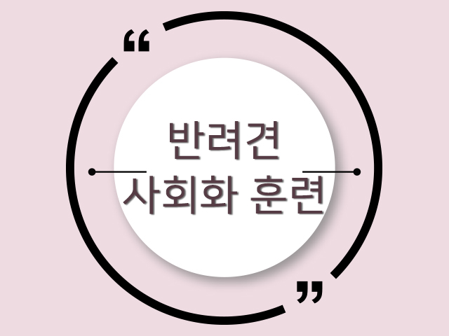 강아지가 스스로 집에 들어가는 '하우스 훈련법'