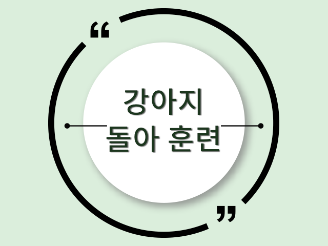 강아지 '돌아' 훈련! 반려견의 장기자랑 함께 배워봐요!