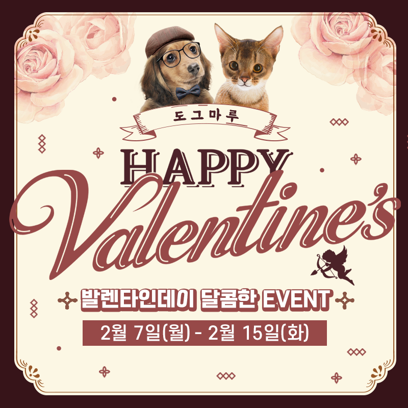 ★ 도그마루 발렌타인데이 이벤트 ★