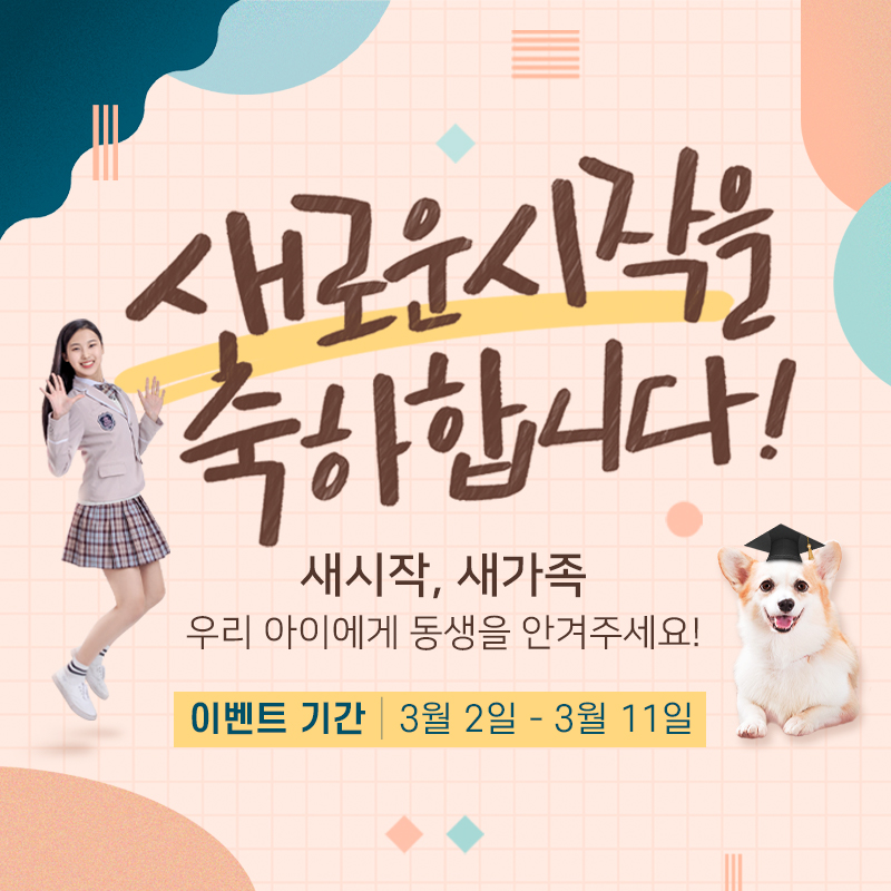 ★ 도그마루 새학기 이벤트 ★