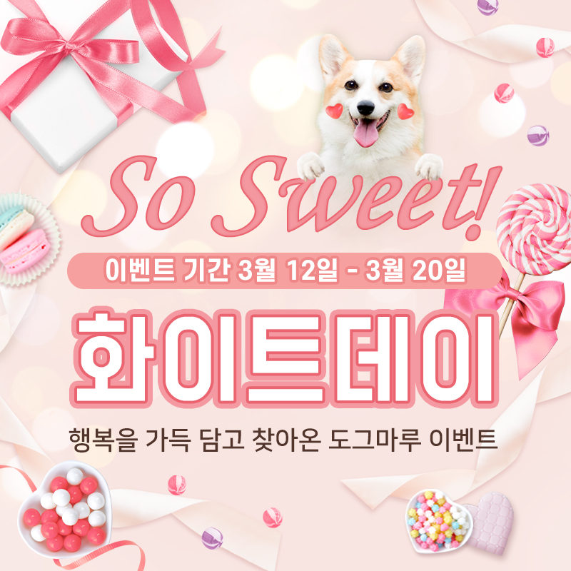 ★ 도그마루 화이트데이 이벤트 ★