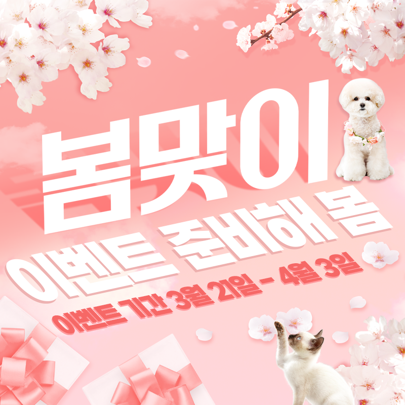 ★ 도그마루 봄맞이 이벤트 ★