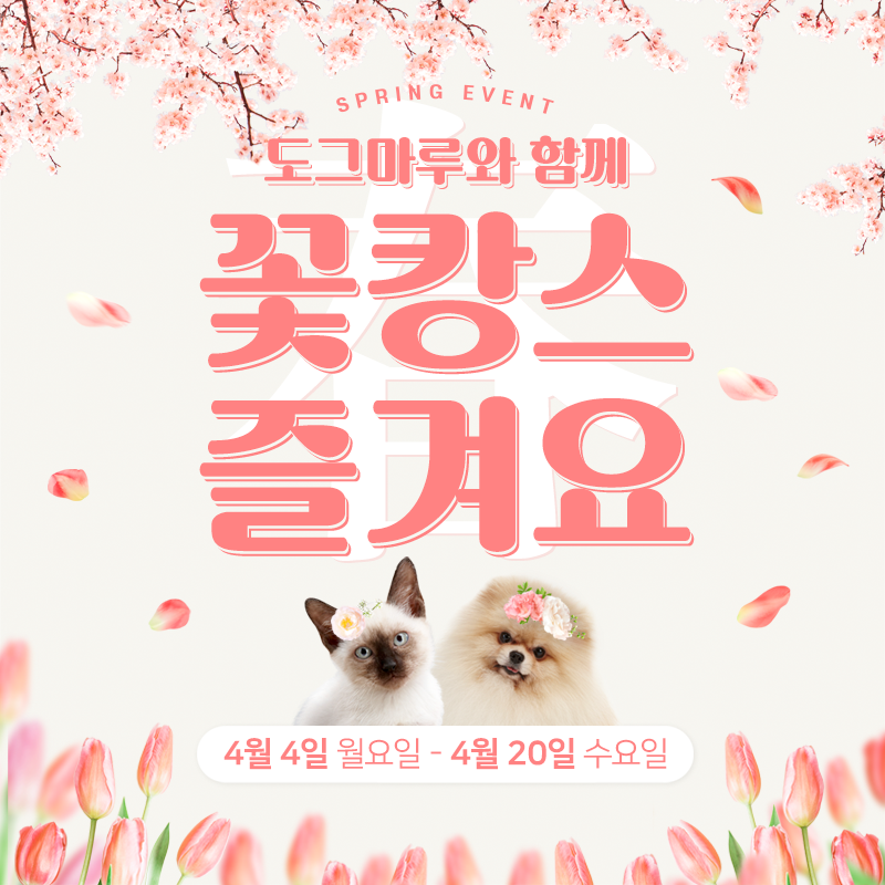 ★ 도그마루 꽃캉스 이벤트 ★
