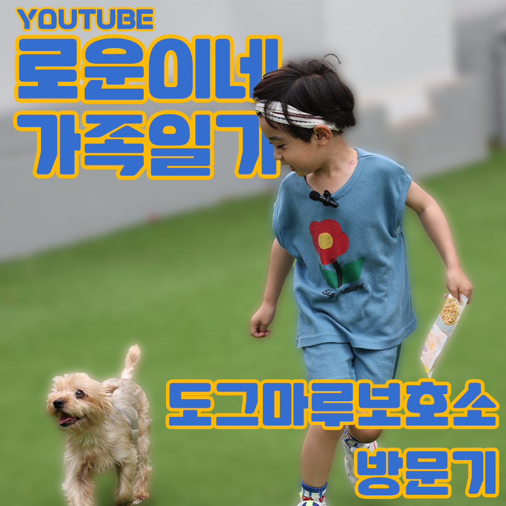 ★ 유튜버 [로운이네가족일기] 도그마루 입양케어센터 방문기 ★
