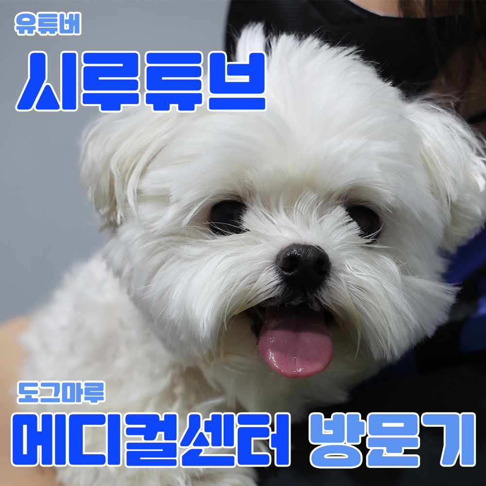 ★ 유튜버 [시루튜브] 도그마루 메디컬센터 방문기 ★
