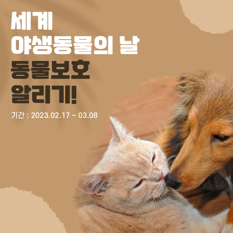 🐶세계 야생동물의 날 알리기 이벤트😻