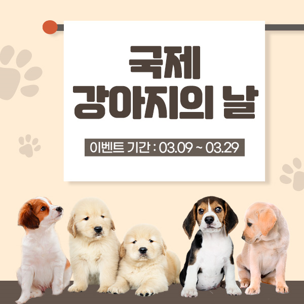 🐶국제 강아지의 날 이벤트😻