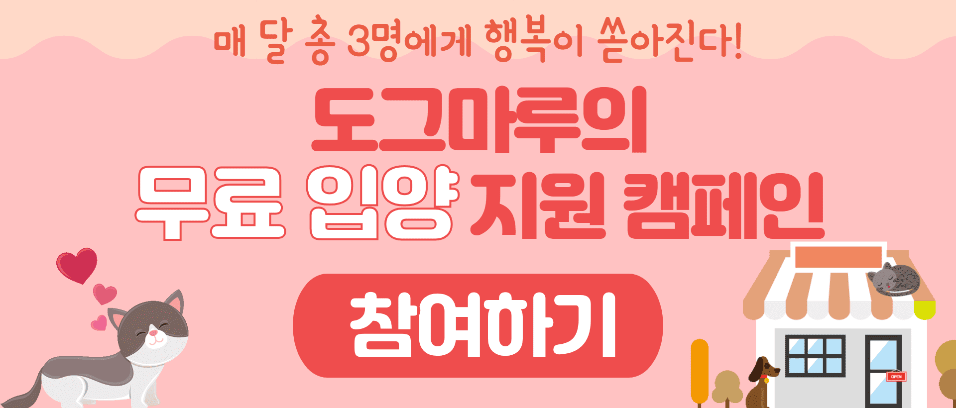 2회차 입양지원캠페인이 시작되었습니다!