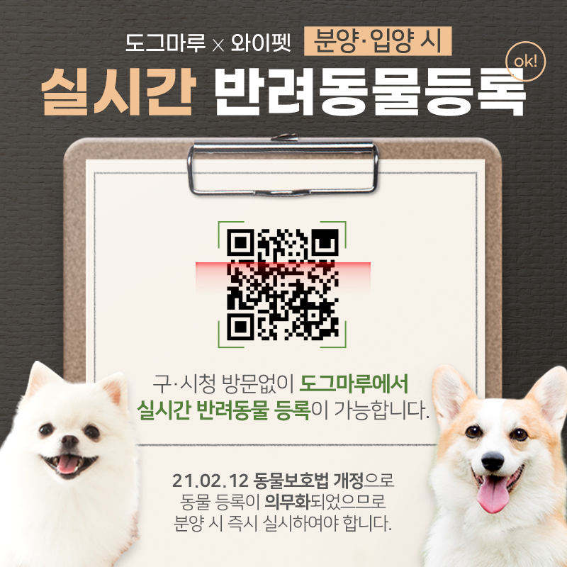 ★실시간 반려동물등록 서비스 오픈!★