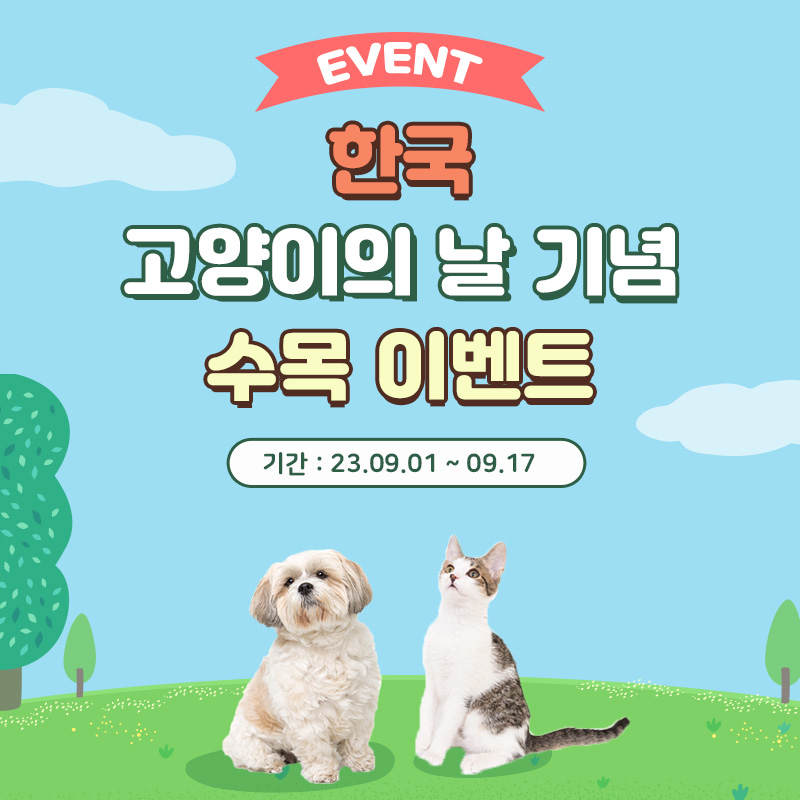 😻한국 고양이의 날 기념 평일 이벤트🎉