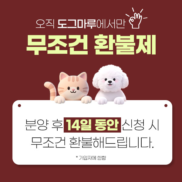 오직 도그마루에서만! "무조건 환불제"