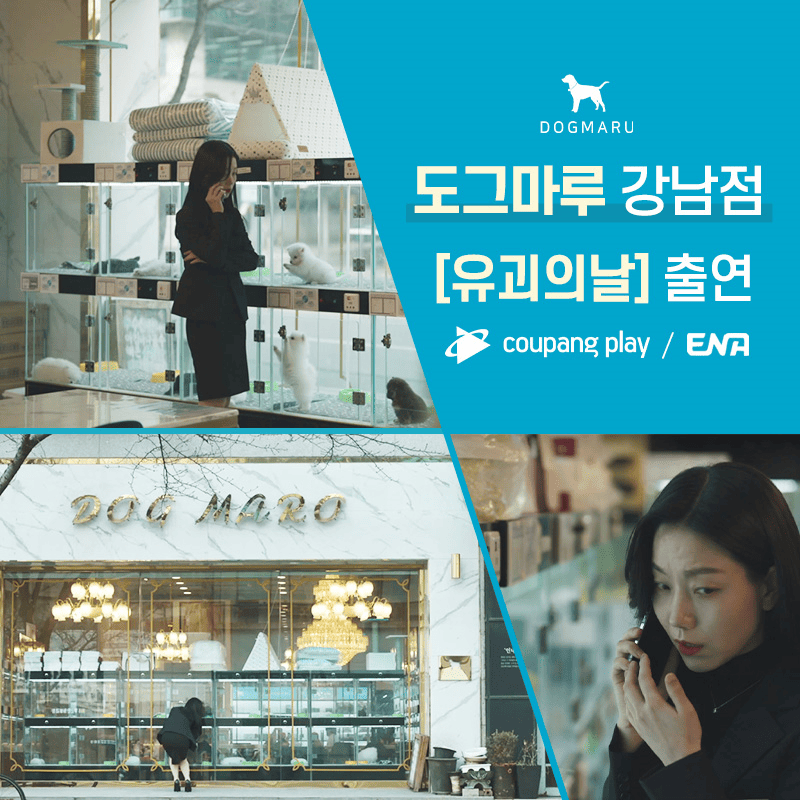 🎥도그마루, [유괴의 날] 출연 (coupang play / ENA)