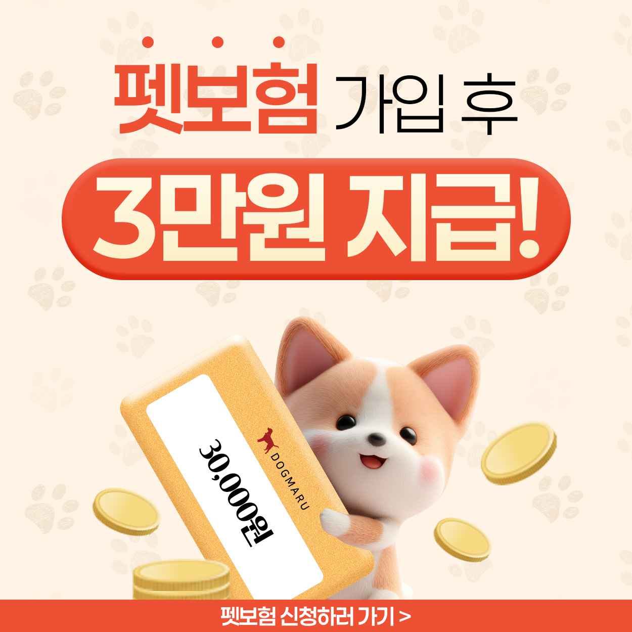 🧡메리츠펫보험 X 도그마루🧡
