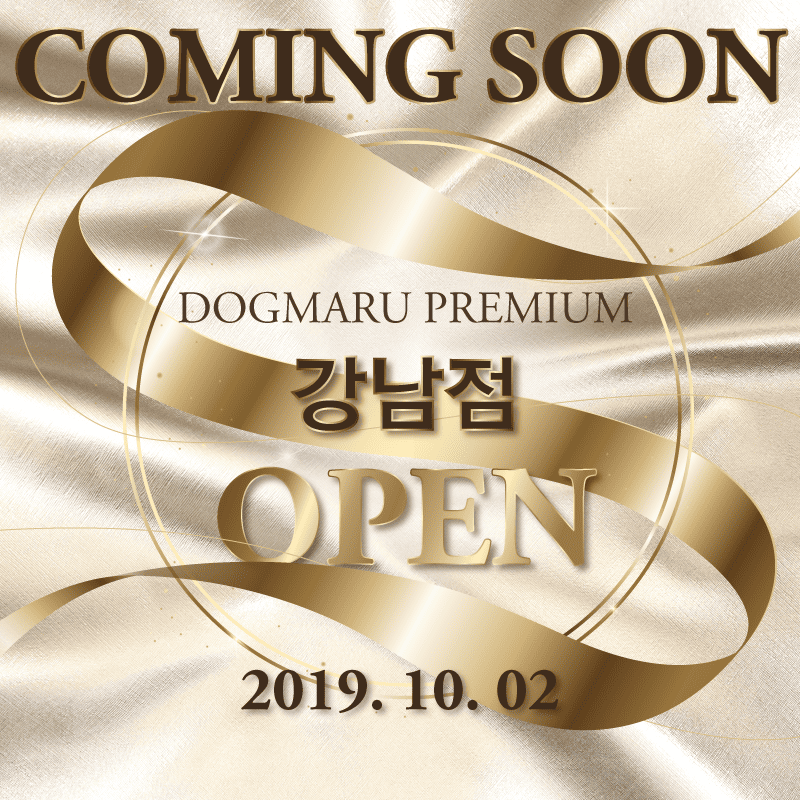 도그마루 강남점 오픈 예정! COMING SOON!
