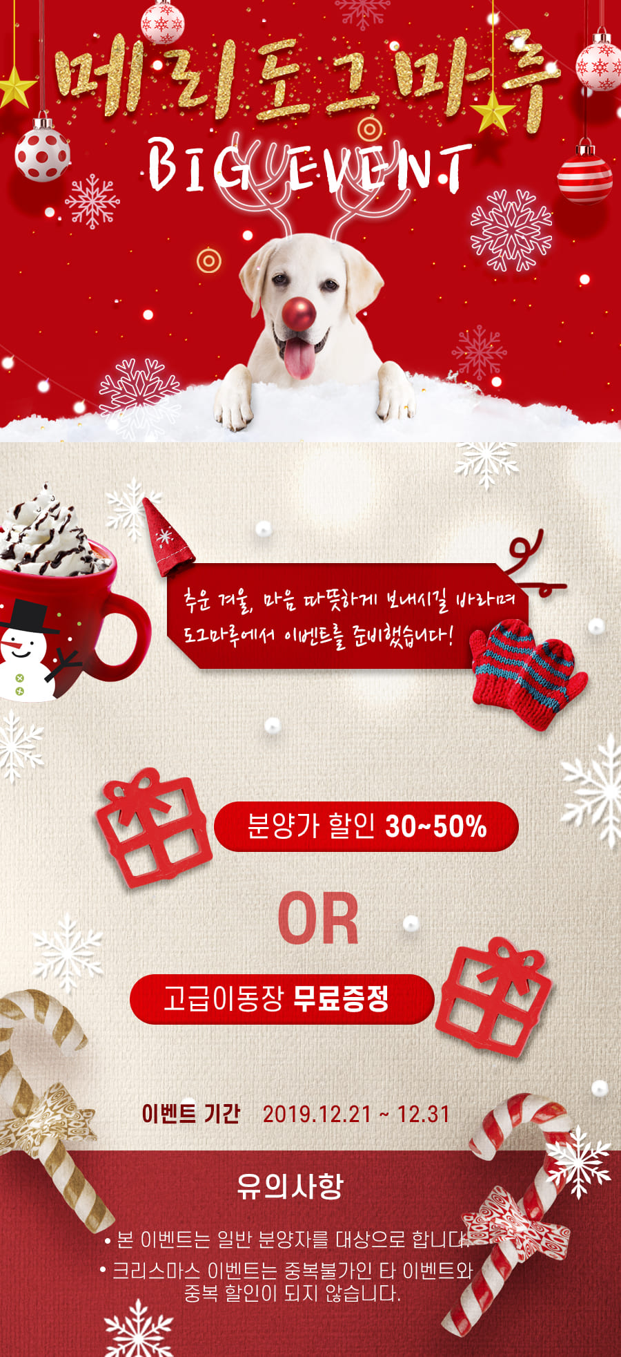 도그마루 크리스마스 할인 이벤트★