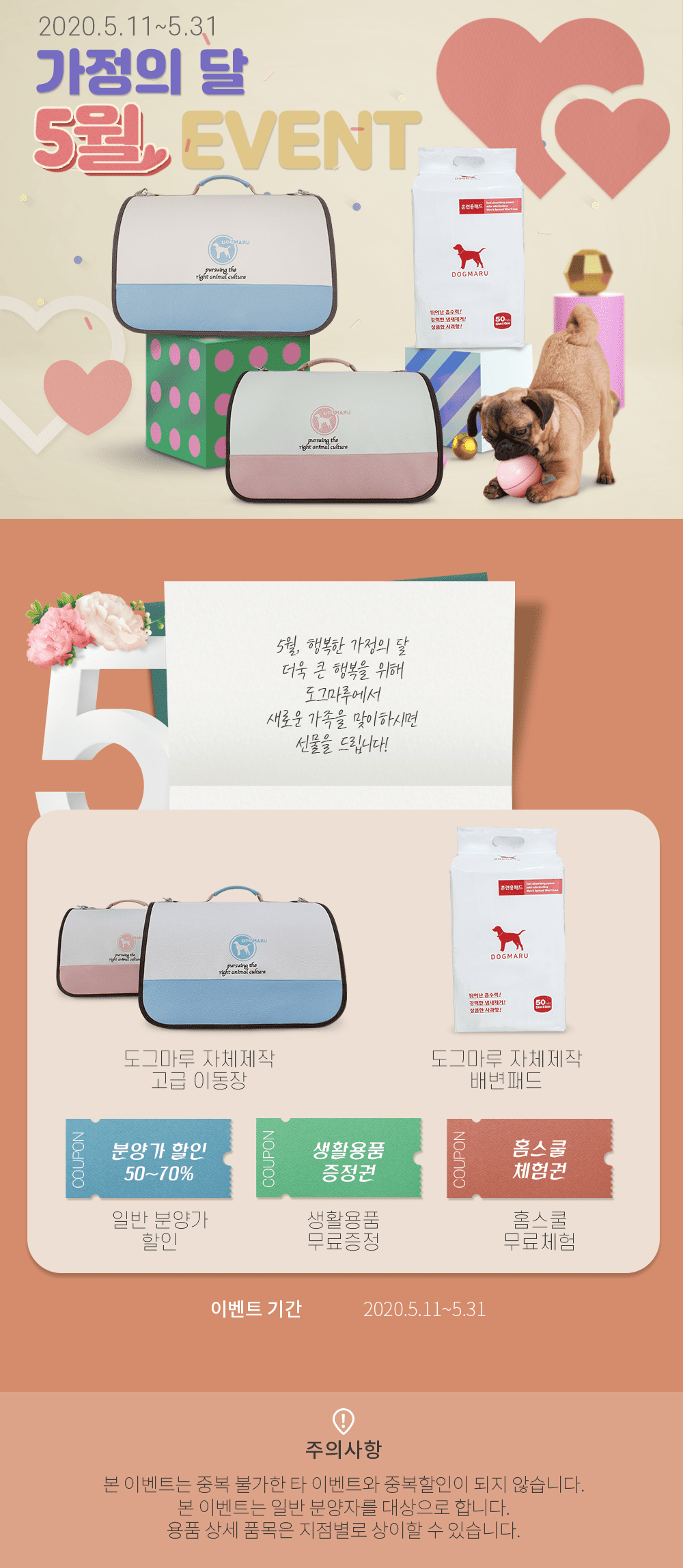 ★도그마루 가정의달 이벤트★