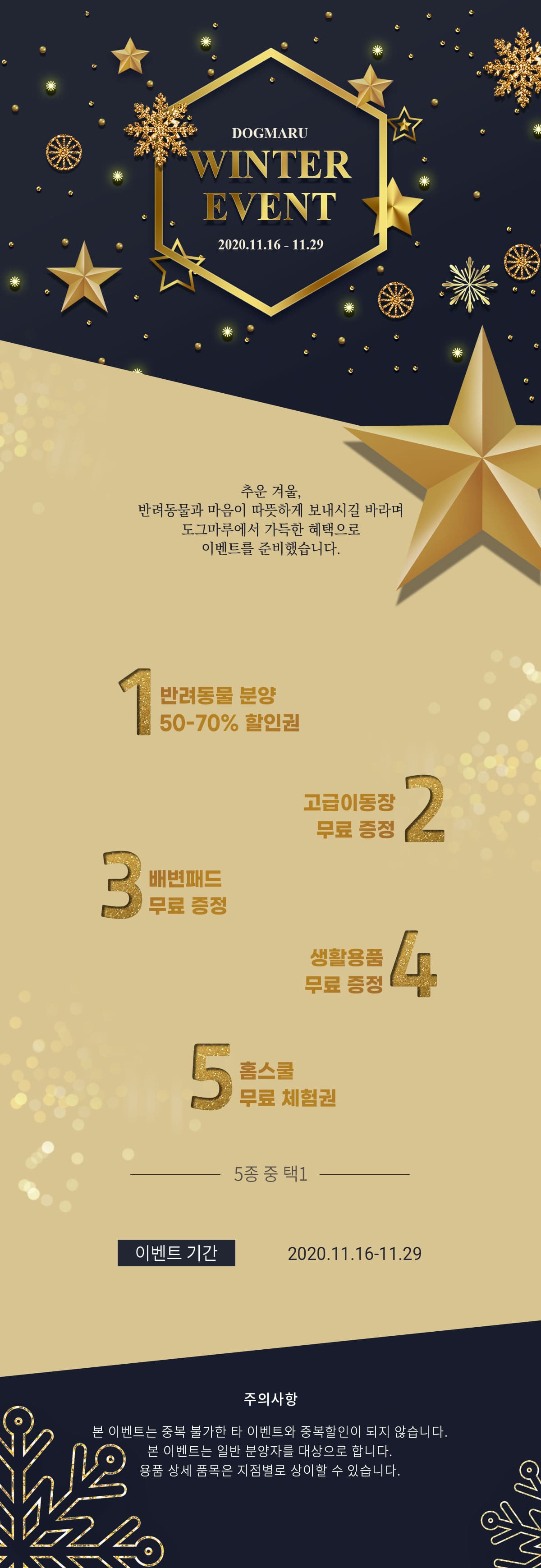 ★도그마루 겨울맞이 이벤트★