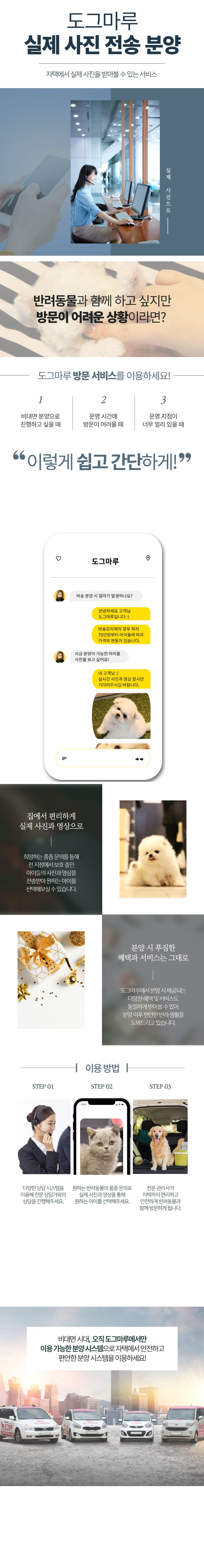 ★ 도그마루 실제 사진 및 영상 전송 안내 ★