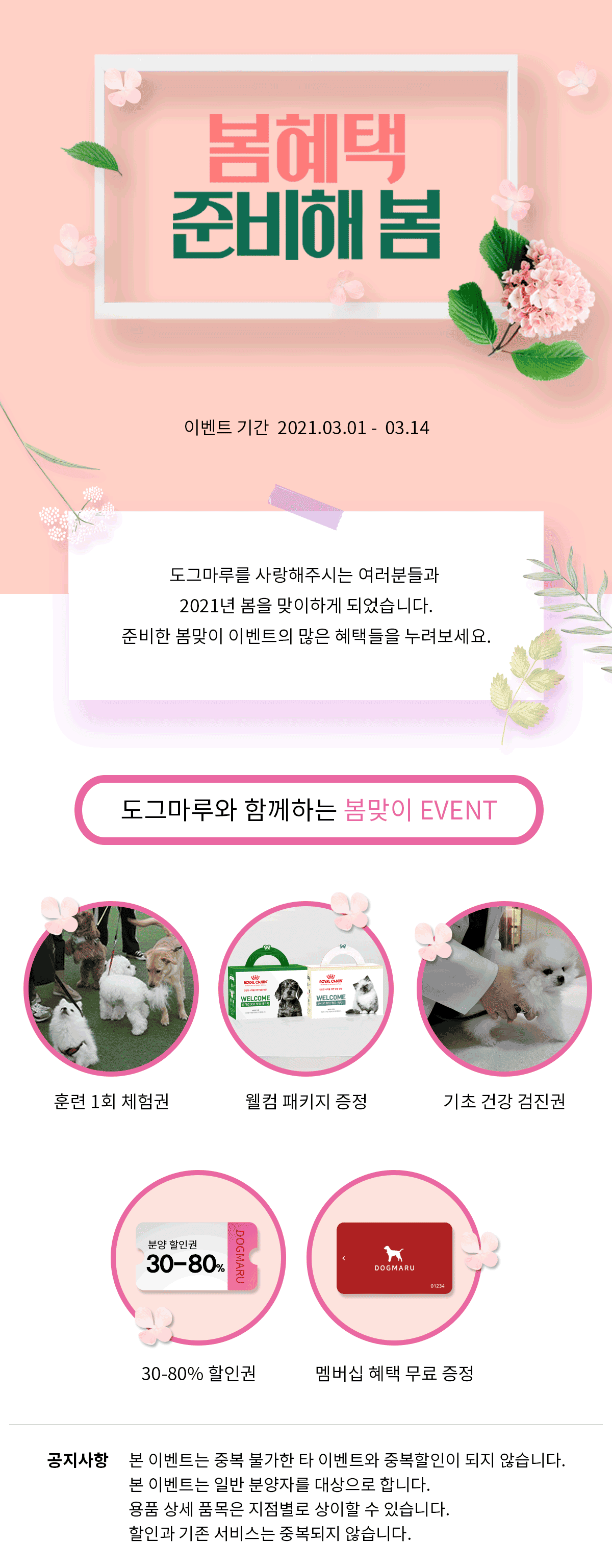 ★도그마루 봄맞이이벤트★