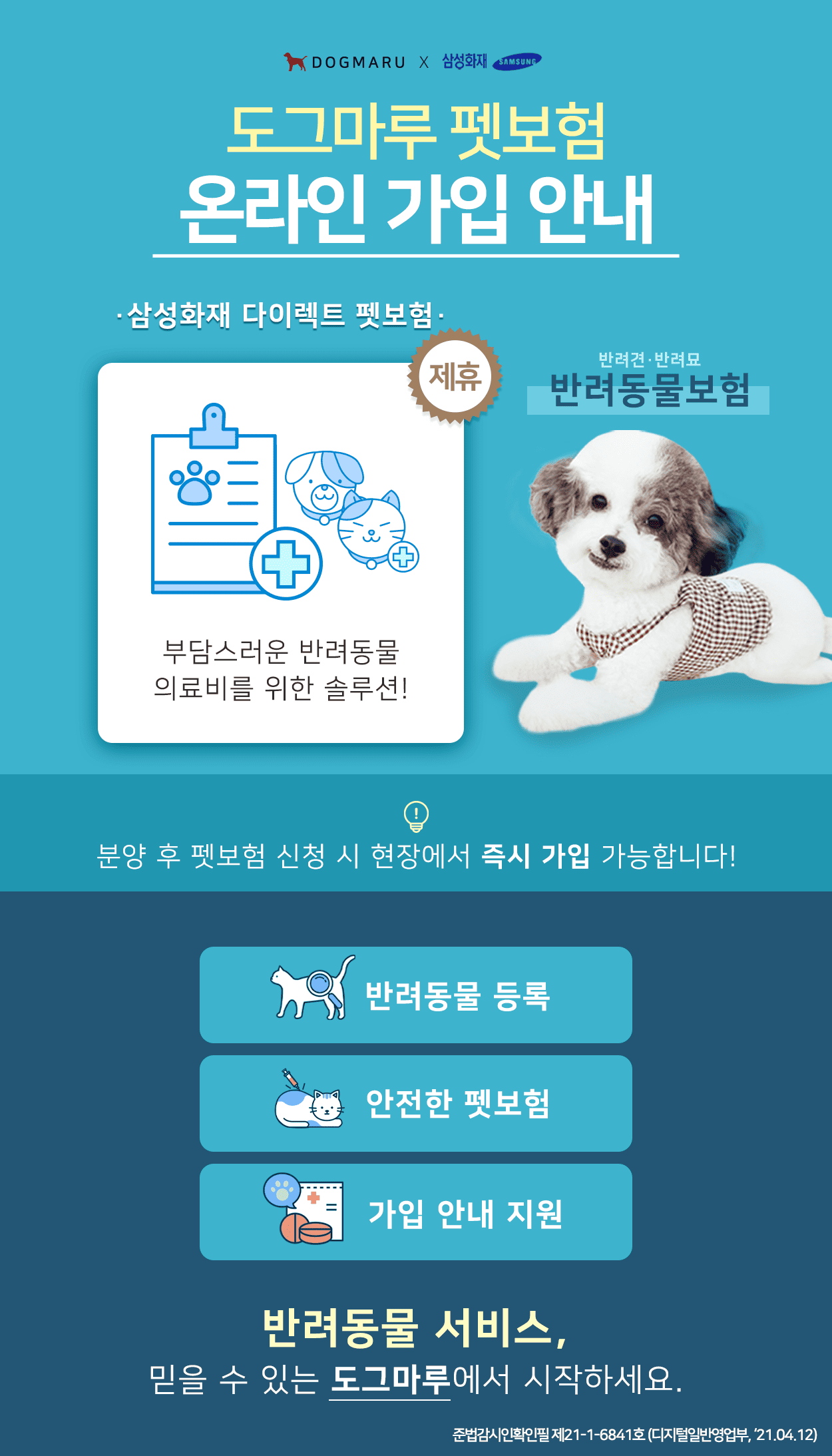 ★도그마루 펫보험 온라인 가입 안내★