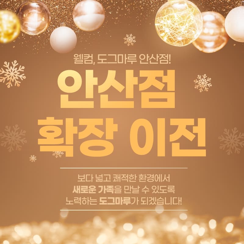 ★도그마루 안산점 확장이전★