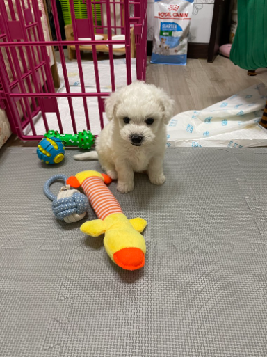 박*영님 후기