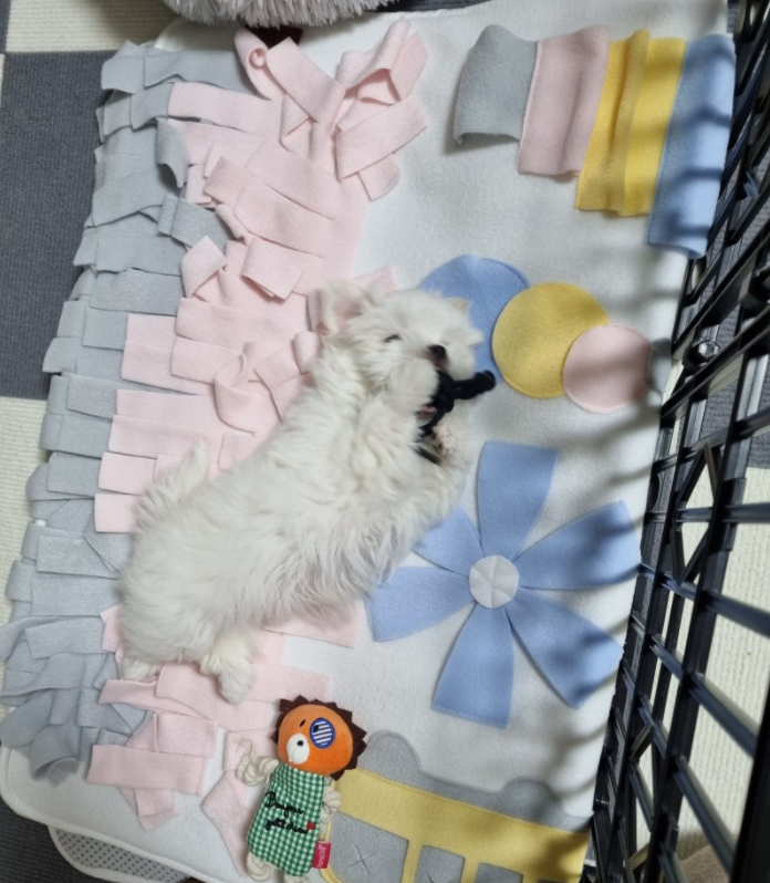 최*나님 후기