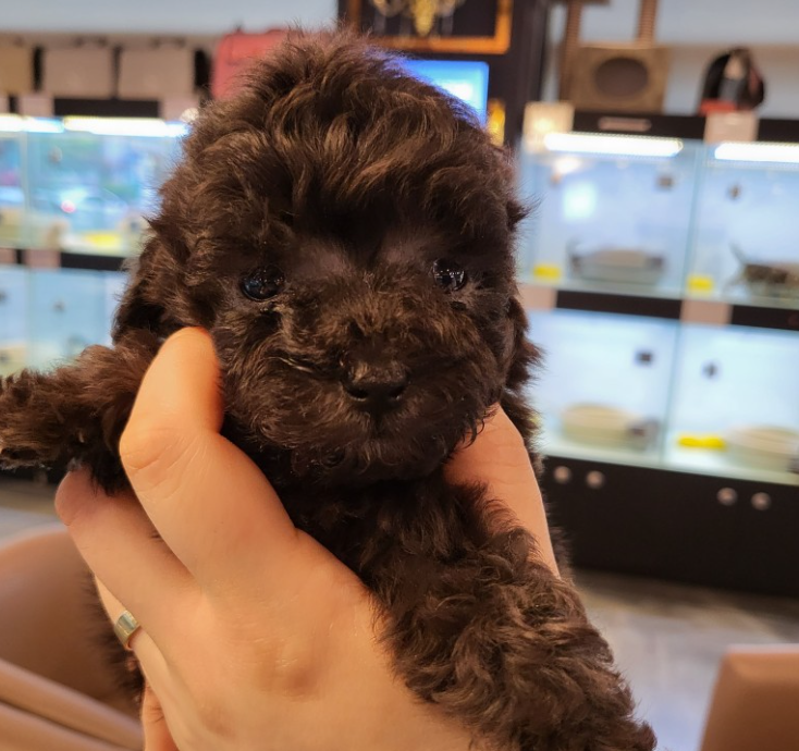 김*래님 후기