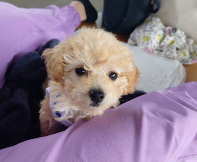 한*영님 후기