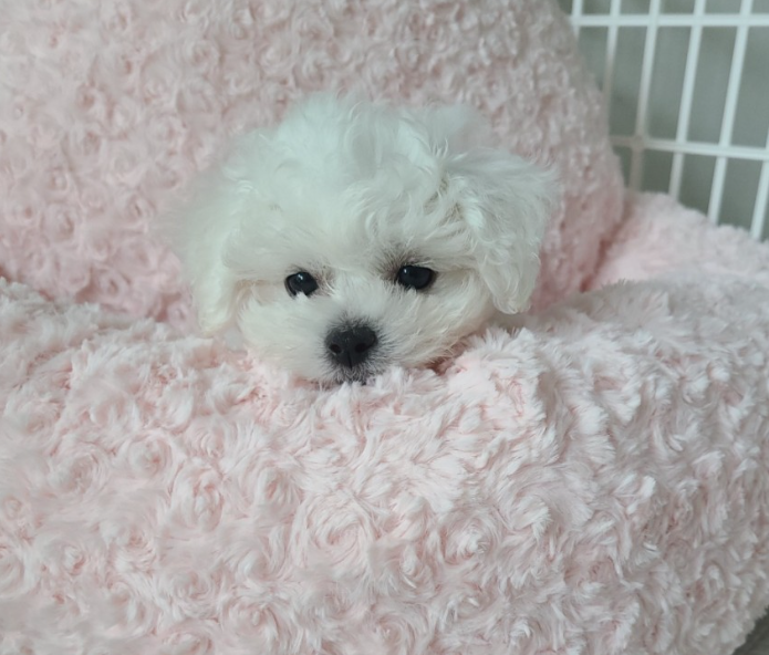 김*경님 후기