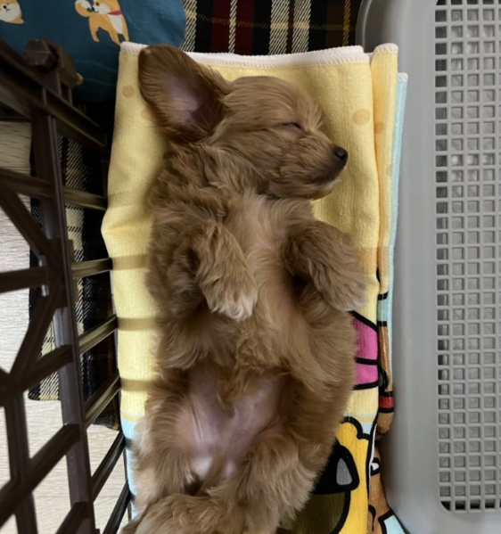 김*연님 후기