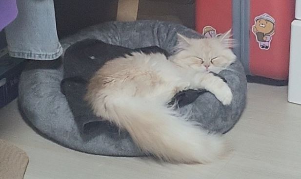 문*란님 후기