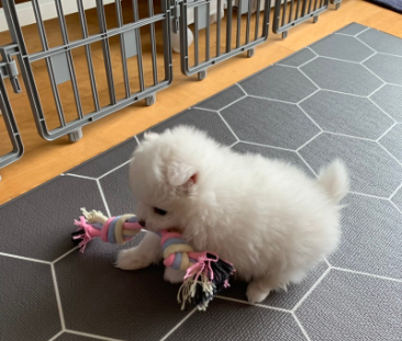이*훈님 후기